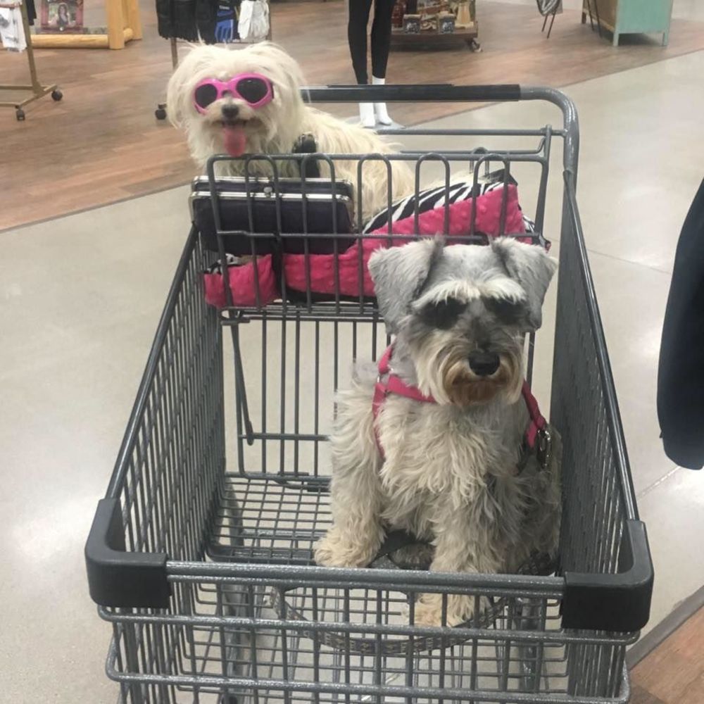 Meet your Posher, Crystal